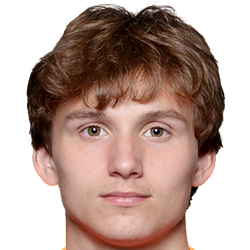 拉夫·范登伯格