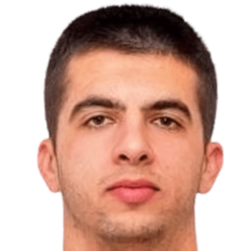 内迪尔科·拉布罗维奇