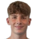 尼古拉·平图斯