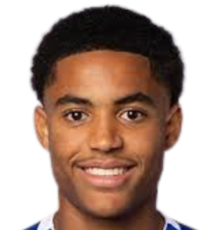 萨沙·布里奇吉