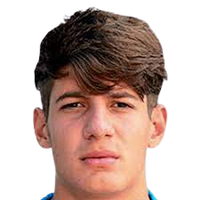 亚历山德罗·扎诺利