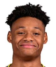 朱利安·杜兰维尔